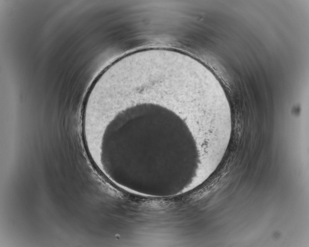 X0000098010950200804181131