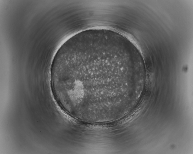 X0000098010951200804181131