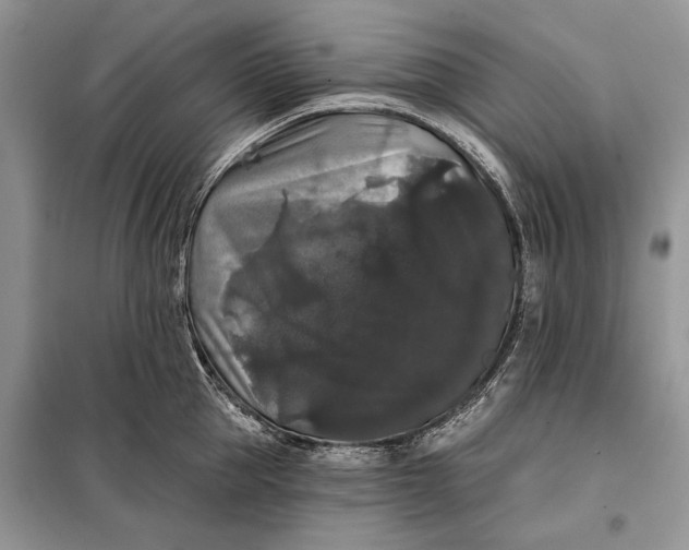 X0000098010953200804181131