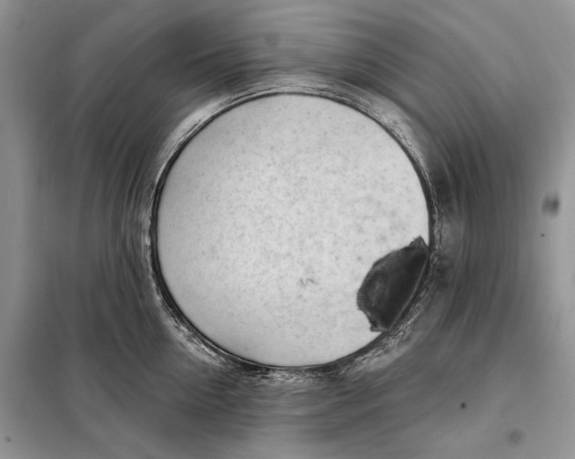 X0000098010954200804181131