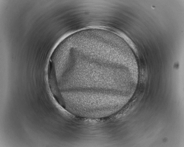 X0000098010955200804181131