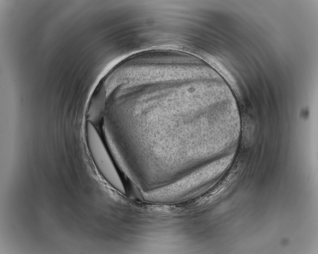 X0000098010956200804181131