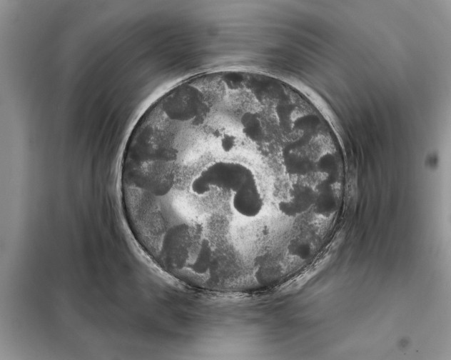 X0000098010957200804181131