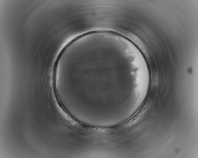 X0000098010958200804181131