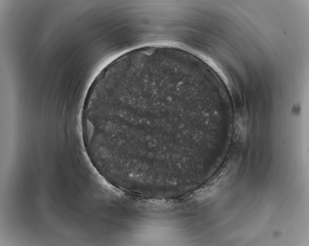 X0000098010959200804181131