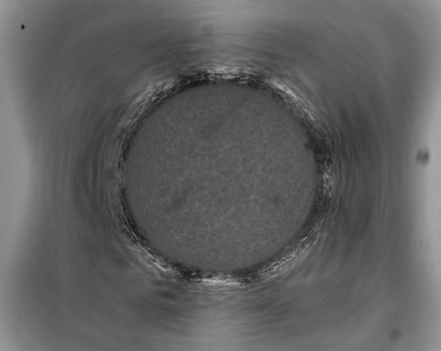 X0000098010961200804181131