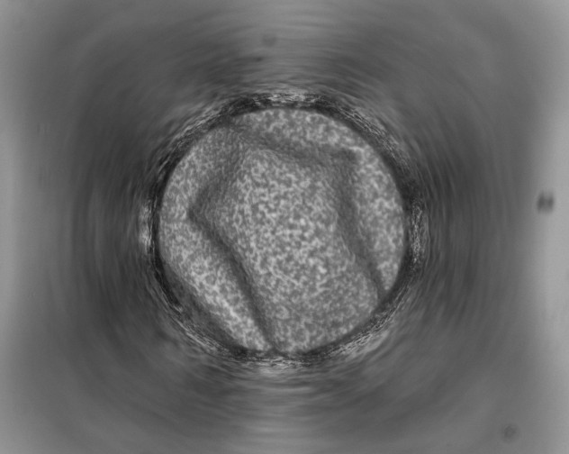 X0000098010962200804181131