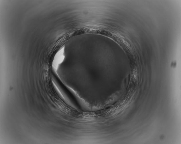 X0000098010964200804181131