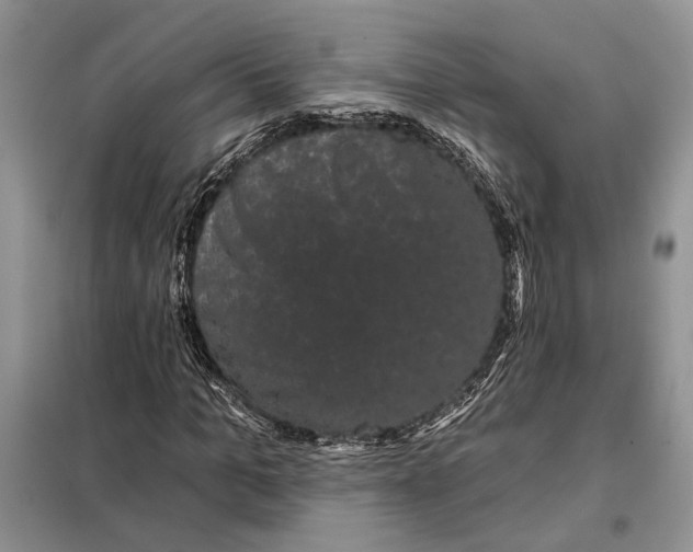 X0000098010965200804181131