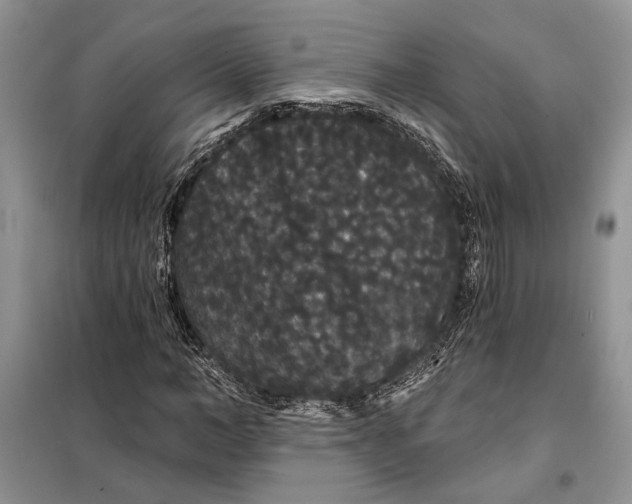 X0000098010966200804181131