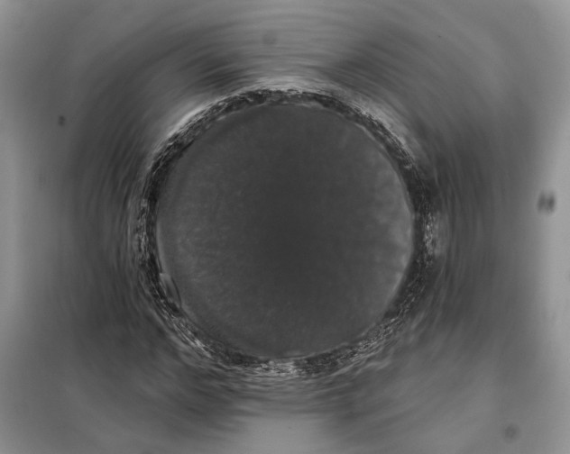 X0000098010968200804181131