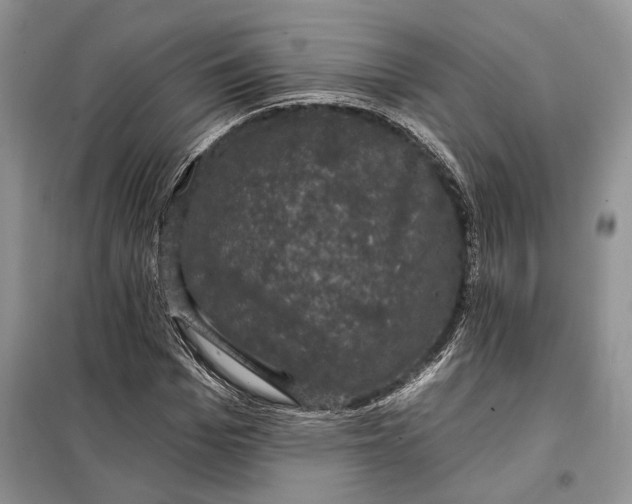 X0000098010969200804181131