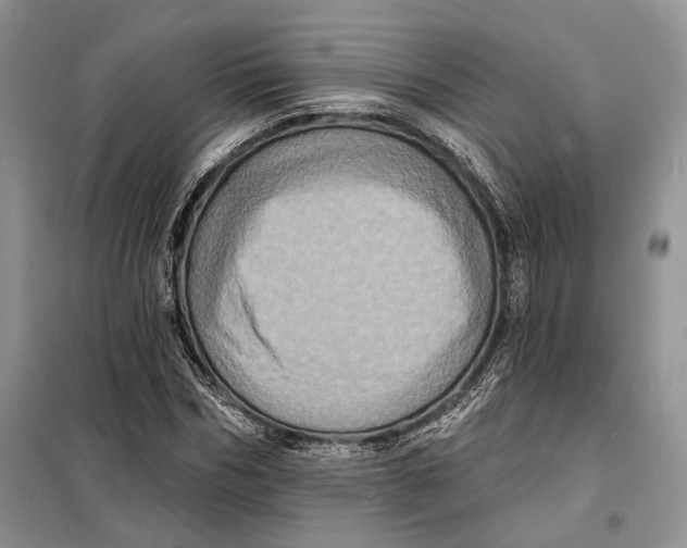 X0000098010970200804181131