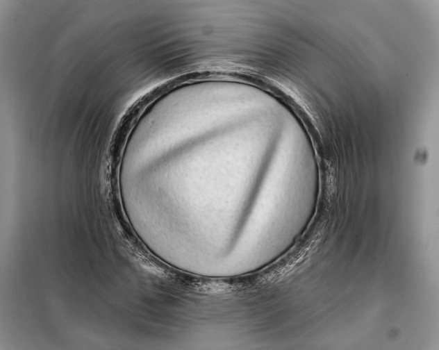 X0000098010971200804181131