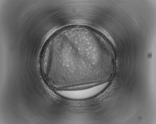 X0000098010972200804181131