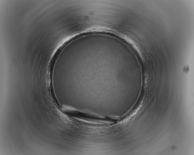 X0000098010973200804181131