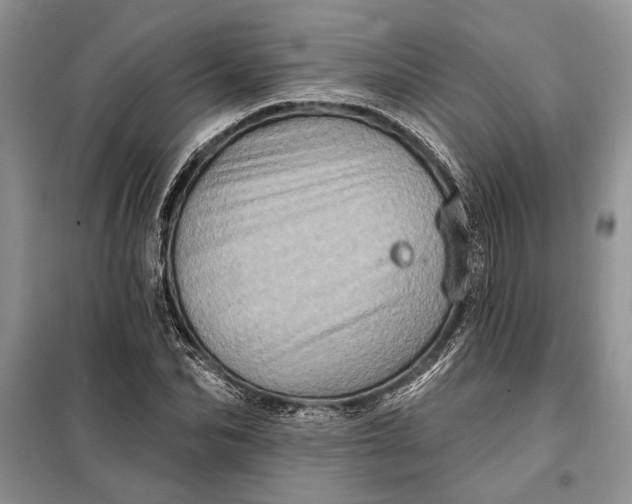 X0000098010974200804181130