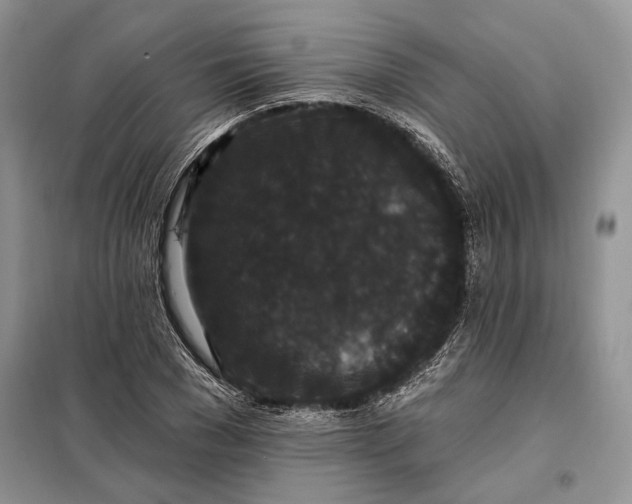 X0000098010977200804181130