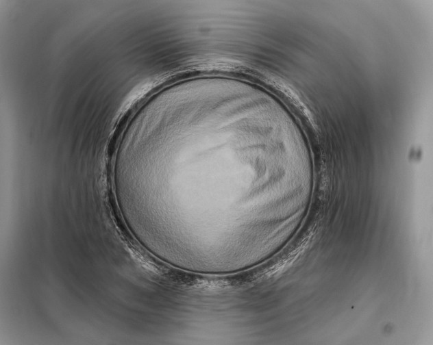 X0000098010978200804181130