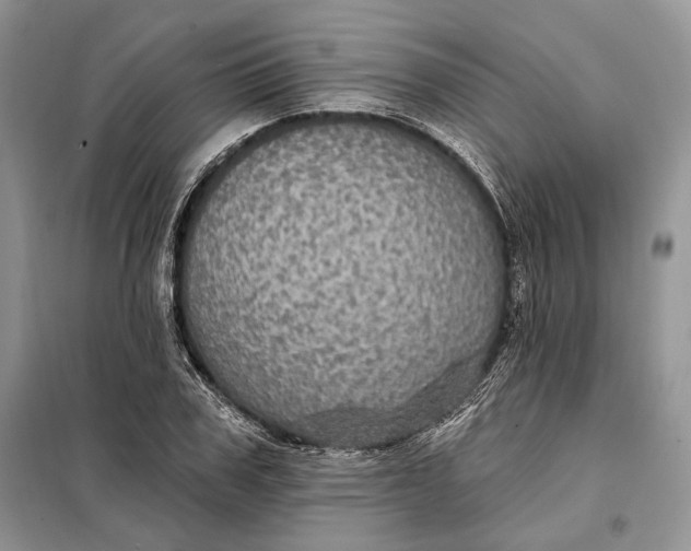 X0000098010979200804181130