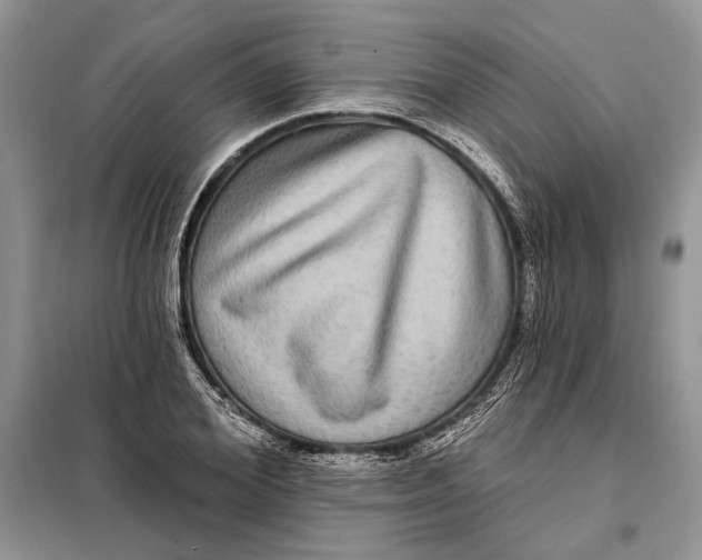 X0000098010980200804181130