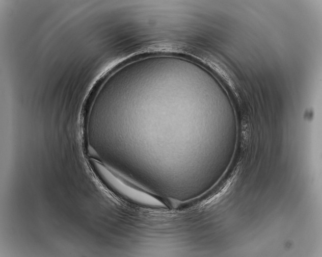 X0000098010981200804181130