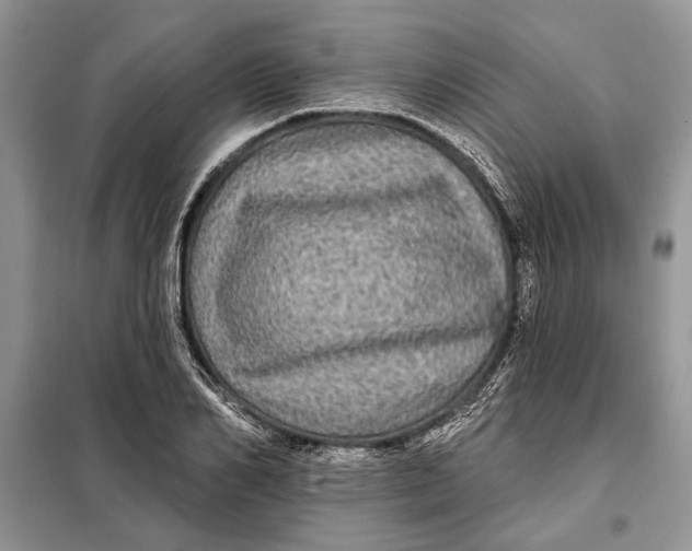 X0000098010982200804181130