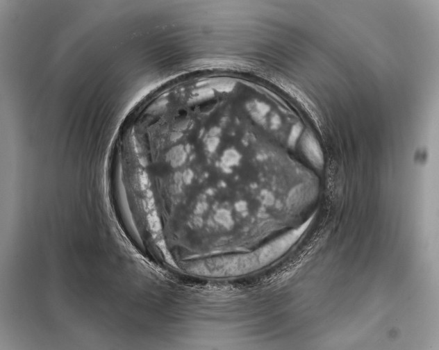 X0000098010983200804181130