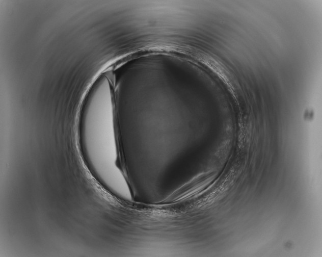 X0000098010984200804181130