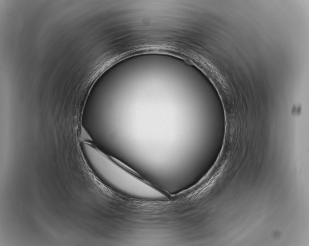 X0000098010985200804181130