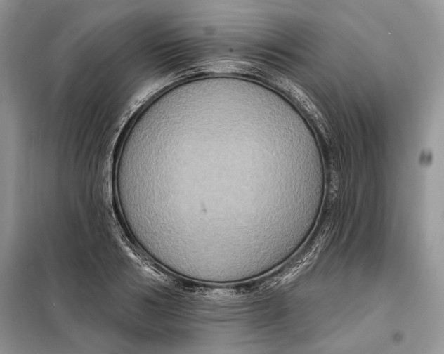 X0000098010986200804181130