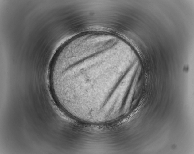 X0000098010987200804181130