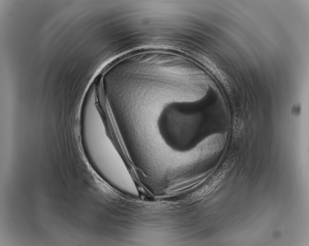 X0000098010988200804181130