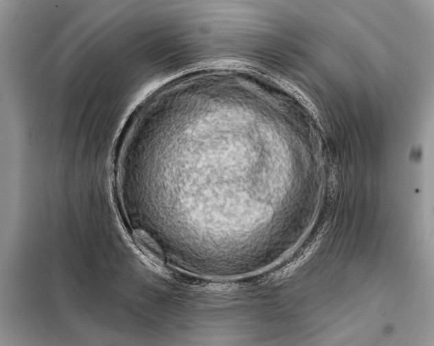 X0000098010989200804181130