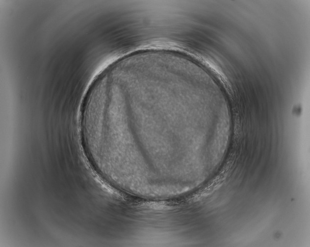 X0000098010990200804181130