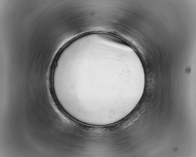 X0000098010991200804181130