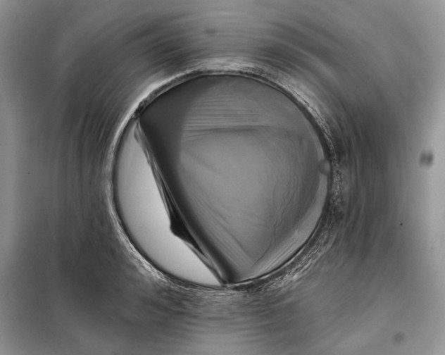 X0000098010992200804181130