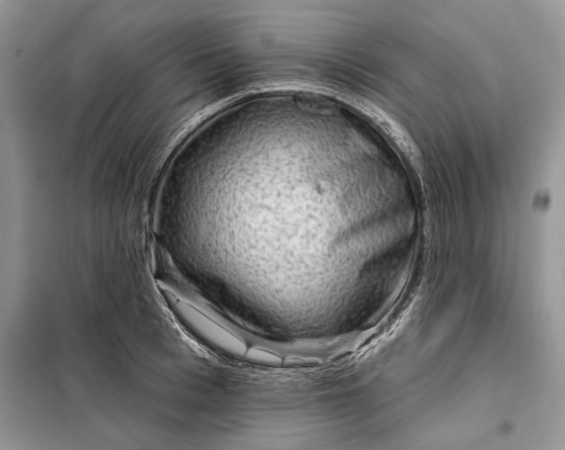 X0000098010993200804181130