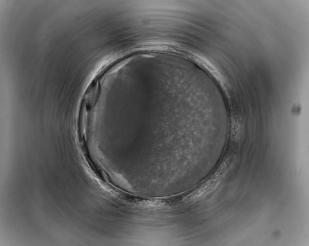 X0000098010994200804181130