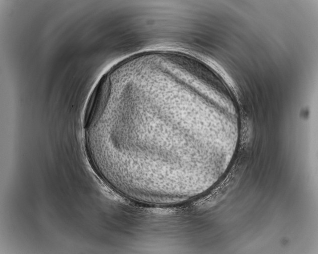 X0000098010996200804181130