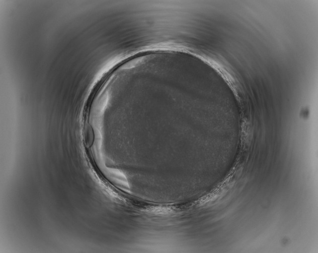 X0000098010998200804181130