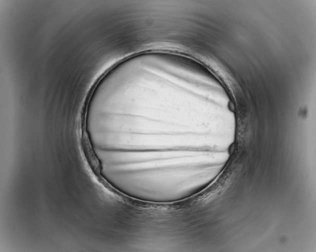 X0000098010999200804181130