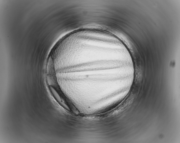 X0000098011000200804181130