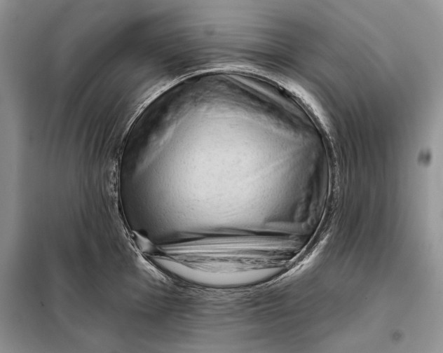 X0000098011001200804181130