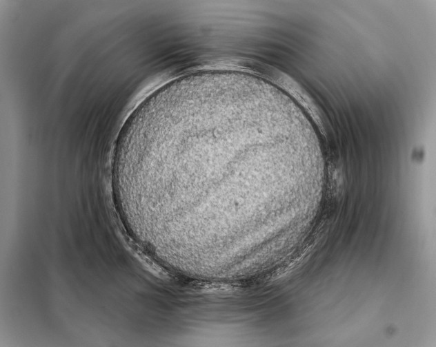 X0000098011002200804181130