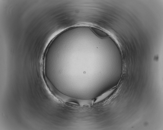 X0000098011003200804181130