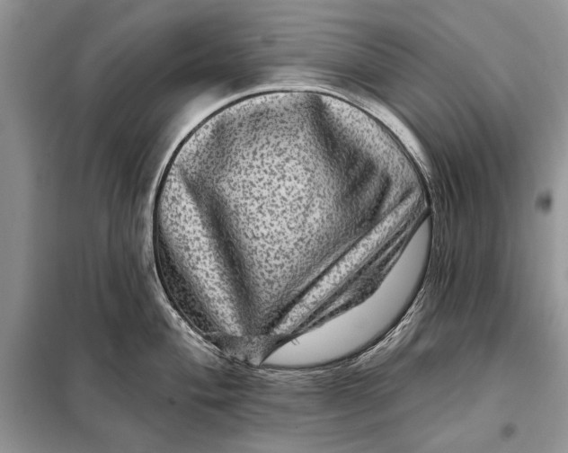 X0000098011004200804181130