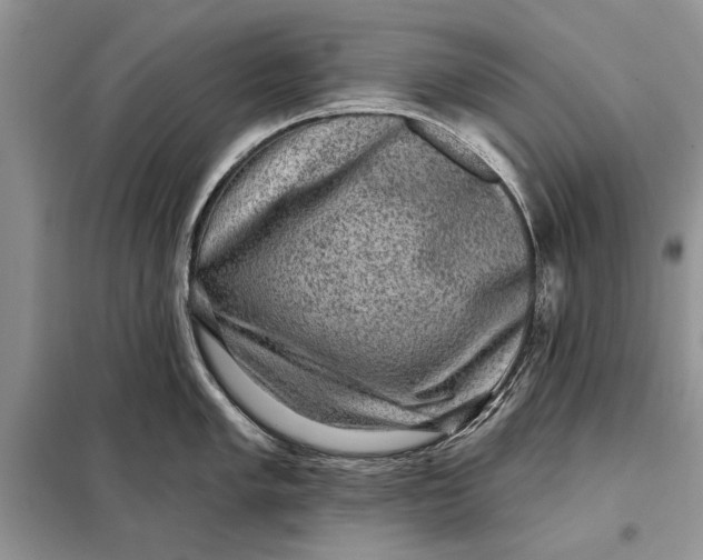 X0000098011005200804181130