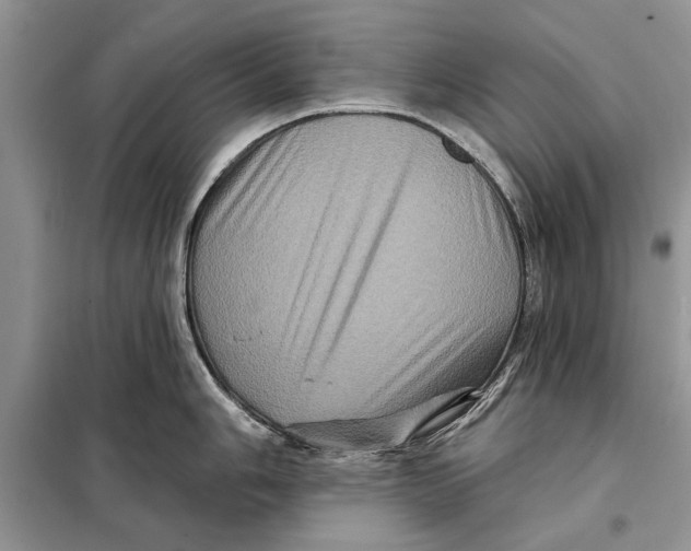 X0000098011006200804181130