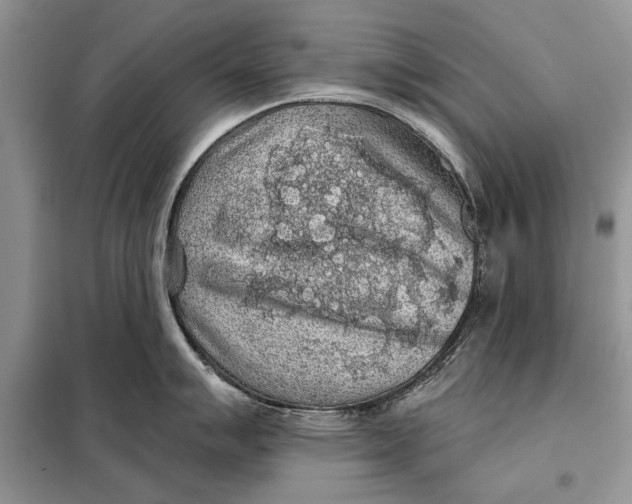 X0000098011007200804181130